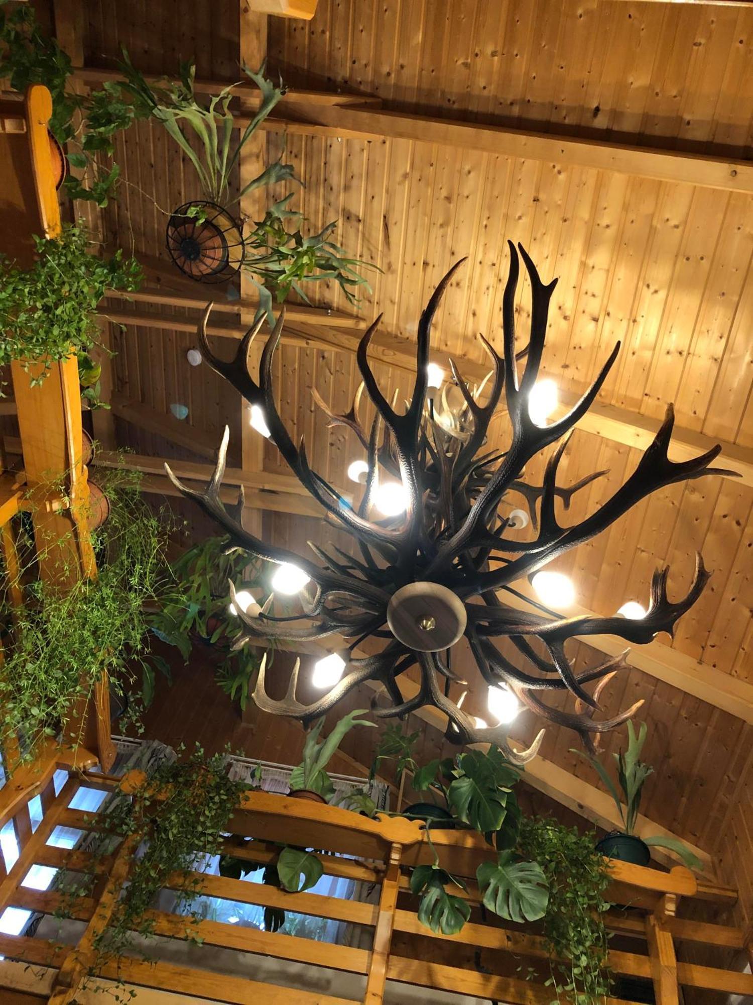 Tiszafa Vendeghaz Szentgal Hotel Luaran gambar