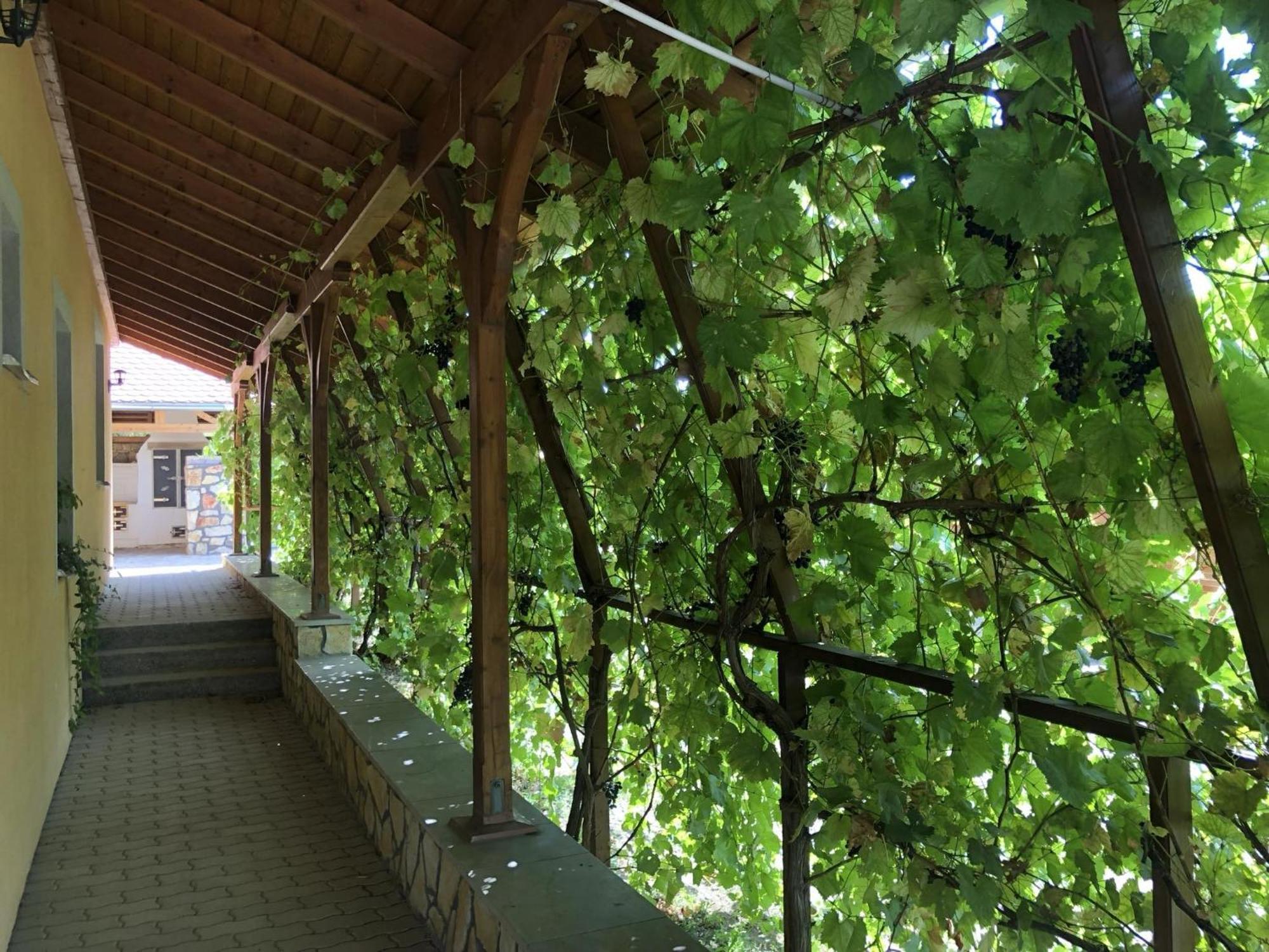 Tiszafa Vendeghaz Szentgal Hotel Luaran gambar